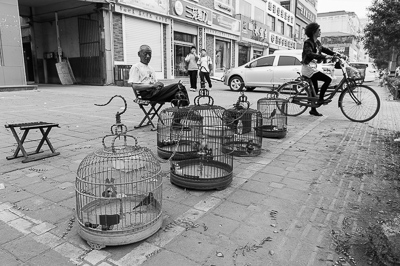 Chine Linyi 