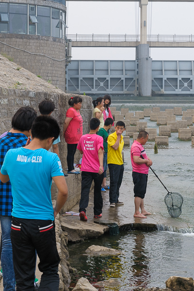 Chine Linyi 