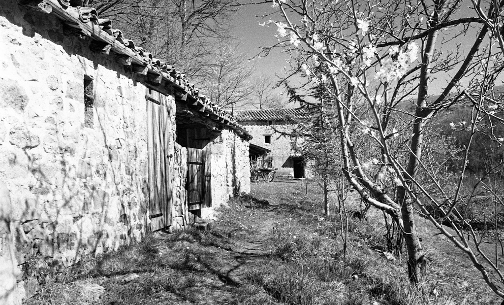 Archivage